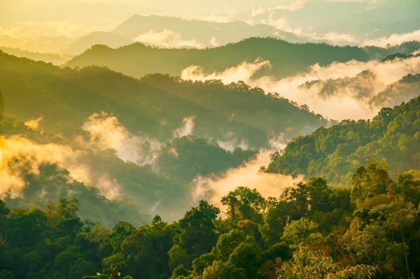 Thailand’s Nomination of Kaeng Krachan Forest Complex in the World Heritage List