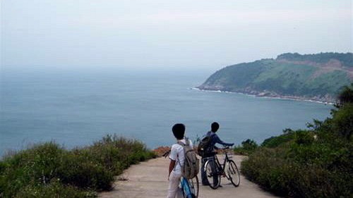 Danang City to organize tours to watch endangered langurs