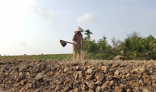 Residents in Vietnam’s Mekong Delta risk becoming environmental refugees: official