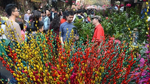 Tet markets across Vietnam