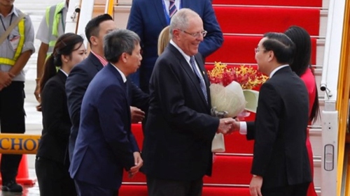 APEC delegates arrive at Danang International Airport