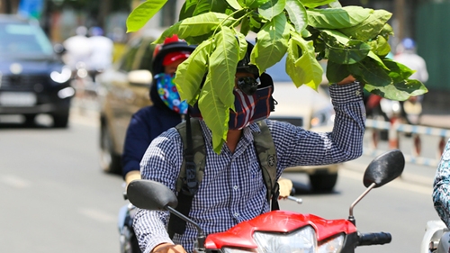 In photos: Cool ways to beat the heat