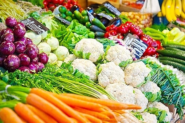 Agricultural produce and cement see upbeat export in first half