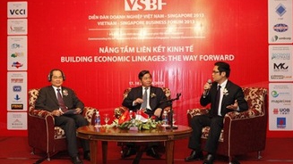 Vietnam- Singapore Biz Forum to open in HCM City