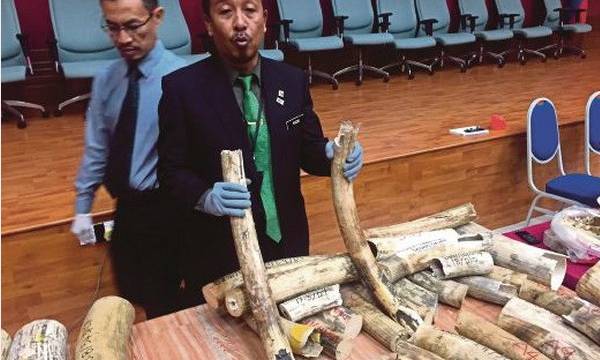 Malaysia busts Vietnamese nationals for wildlife trafficking