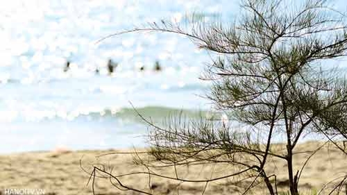 Explore the wild beauty of Phu Quoc Island