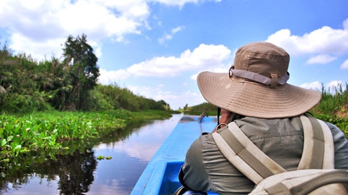 A trip to U Minh Forest