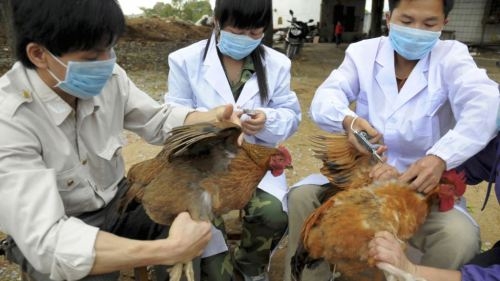 Influenza A H1N1 outbreak confirmed in central Vietnam