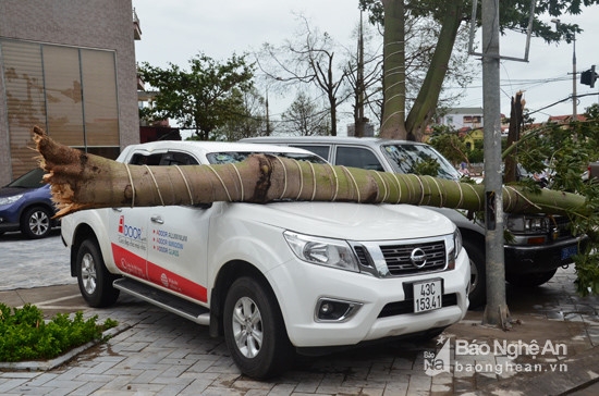 In photos: Storm rolls through Nghe An, Ha Tinh