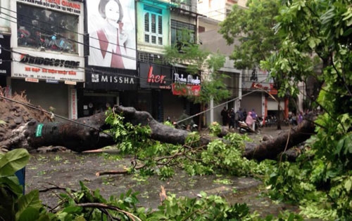 Vietnam set for super-stormy typhoon season