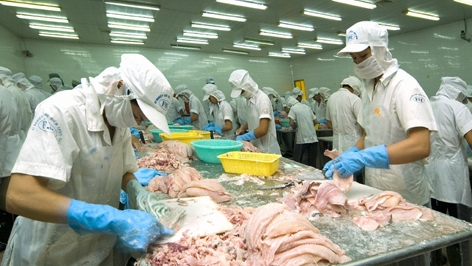 Seafood exports plunge 14% year-on-year