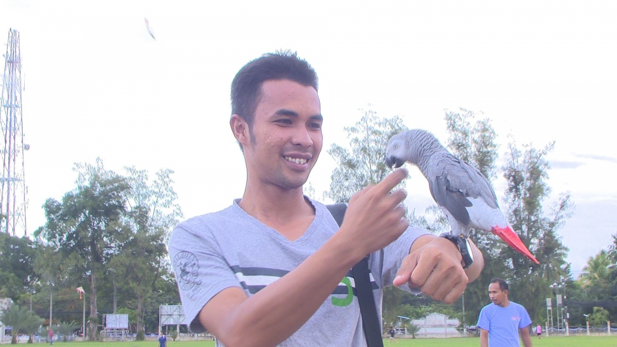 Bird display enlivens Yala weekend