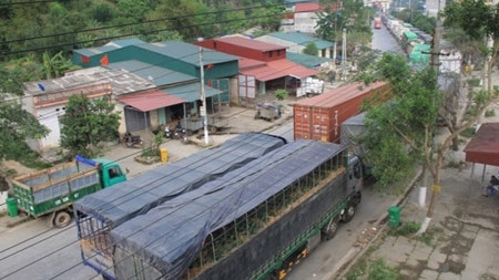 Fruit trucks stuck at Tan Thanh border gate