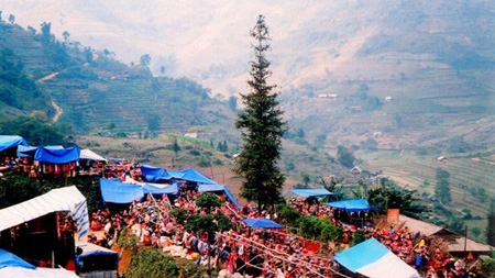 Can Cau market, a sea of brocade, nightingales and even horse meat