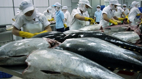 Tuna exports slump due to poor demand