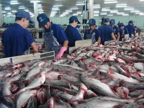 Vietnam to face tough competition from India in tra fish exports