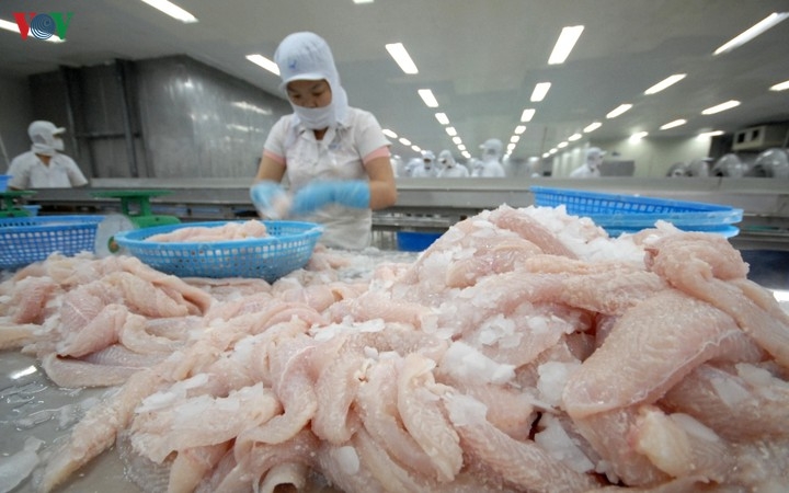 Tra fish exports to Malaysia enjoy substantial growth