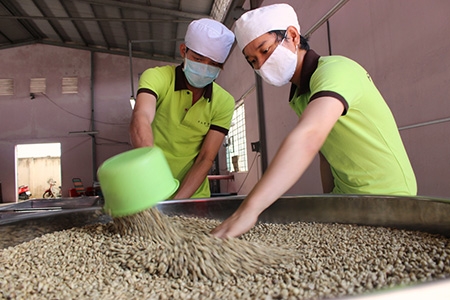 Indian company to establish US$50 million coffee plant in Vietnam