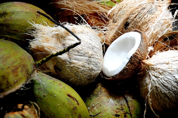 Coconut candy - the edible chewing gum