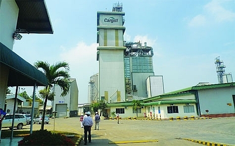 Cargill licensed to develop animal feed project in Bac Ninh