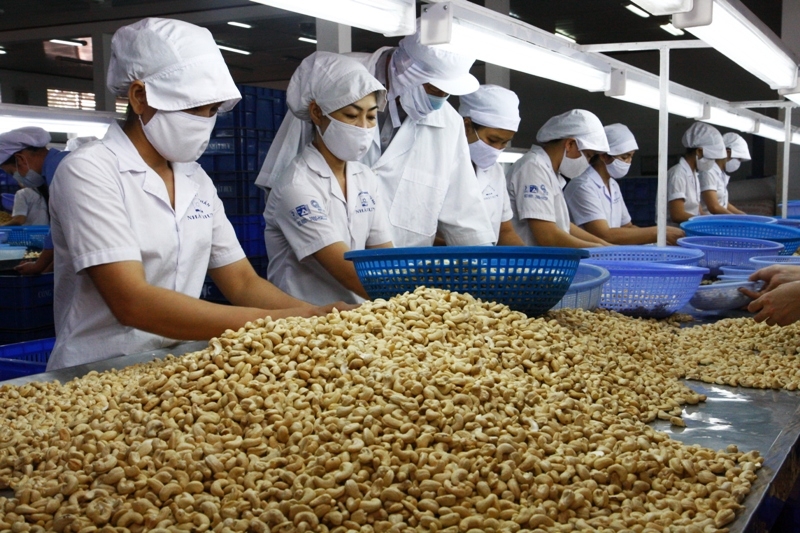 Region eyes global cashew co-operation