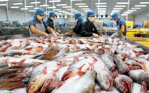 China remains biggest buyer of Vietnam tra fish