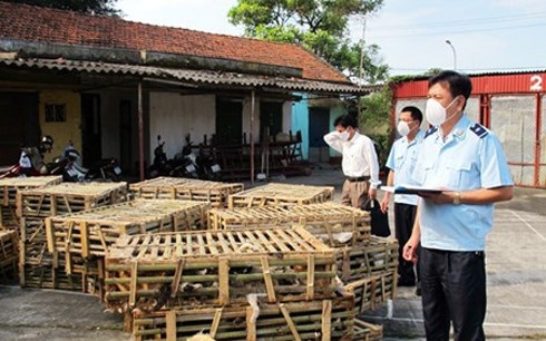 Vietnam to destroy 1 ton of live cats, chicken smuggled in from China