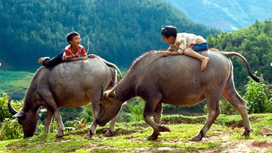 The beautiful smiles of mountain children