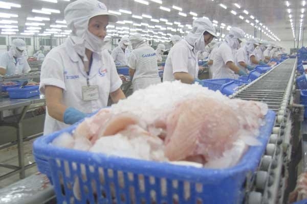 China emerges as biggest importer of Vietnam tra fish