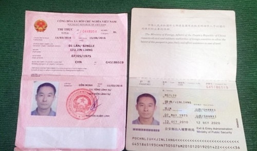 Chinese tourists caught illegally sourcing coconuts in southern Vietnam