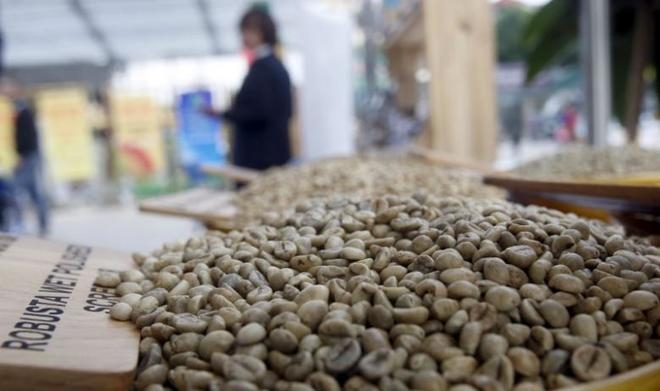 2017 coffee exports may dip on low stock as uncertainty mounts