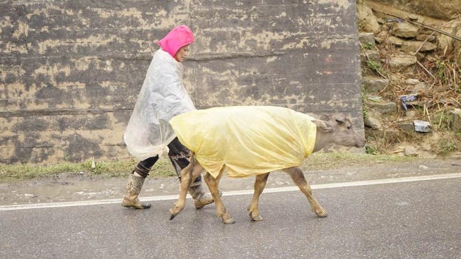 How residents face harsh weather in northern Vietnam