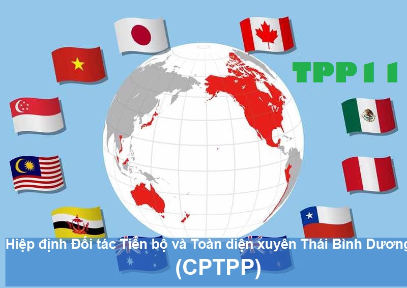Vietnam's integration efforts on faster track with CPTPP