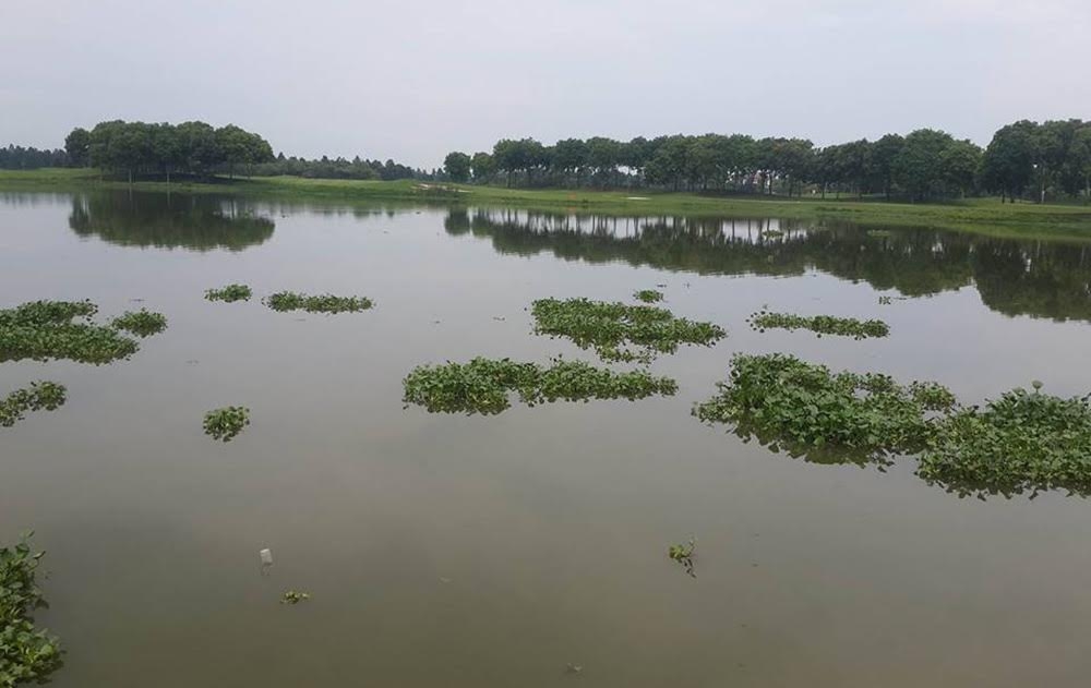 70kg crocodile caught in Hanoi