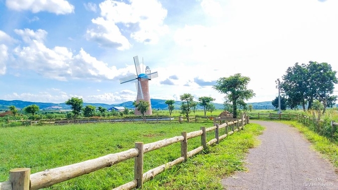 Dutch style dairy farm becomes new check-in point in Da Lat