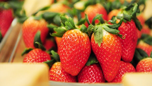 Korean strawberries officially imported into Vietnam