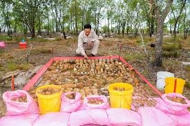 900 grenades from Vietnam War destroyed