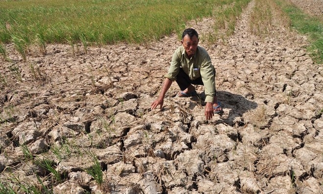 Mekong Delta to receive nearly US$400 million to combat climate change