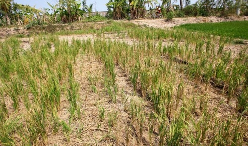 China to release water from dam