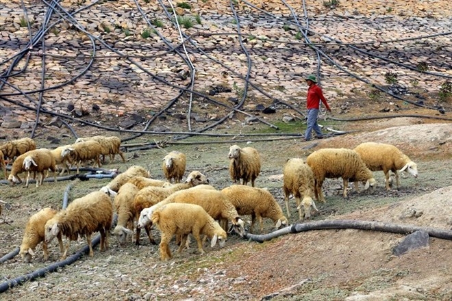 Central region braces for abnormal drought