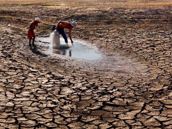 Drought damage to agriculture escalates, US$250 mln and counting