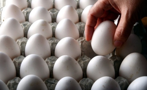 Scramble for the egg market