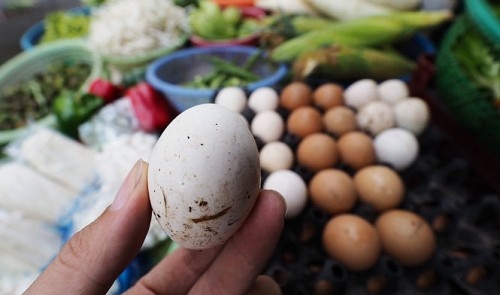 Egyptian chicken eggs disguised as home-raised eggs