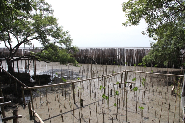 Thai locality applied for disaster risk management