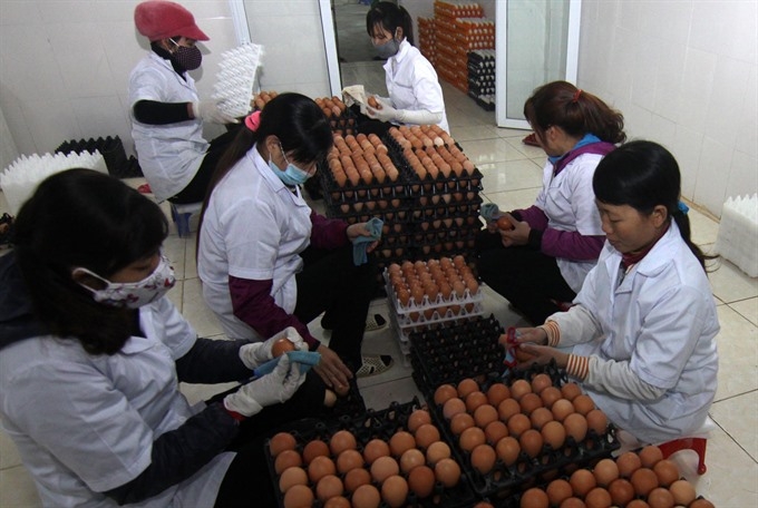 Hanoi sets export growth target at 5%
