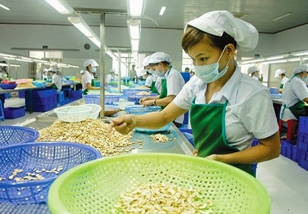 Difficulties reaching yearly export targets expected