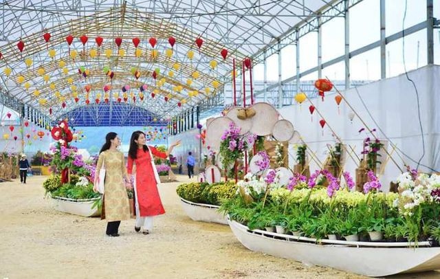 Spring flower festival proves to be a hit in Ninh Binh during first days of Tet