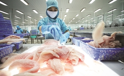 Cold supply chain: burning issue for Vietnam’s farm products