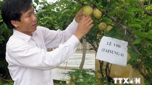 Farmers film their working lives