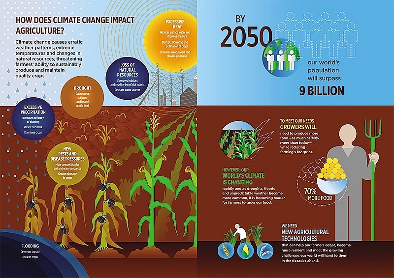 Farming pressures must be tackled with innovation